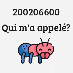 200206600