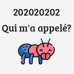 202020202
