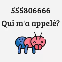 555806666